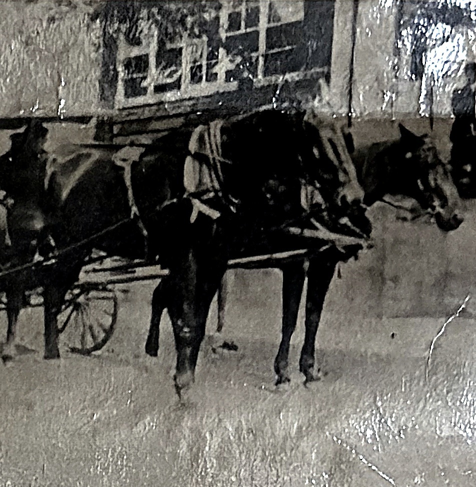 Horse-and-buggy school transport circa 1908.