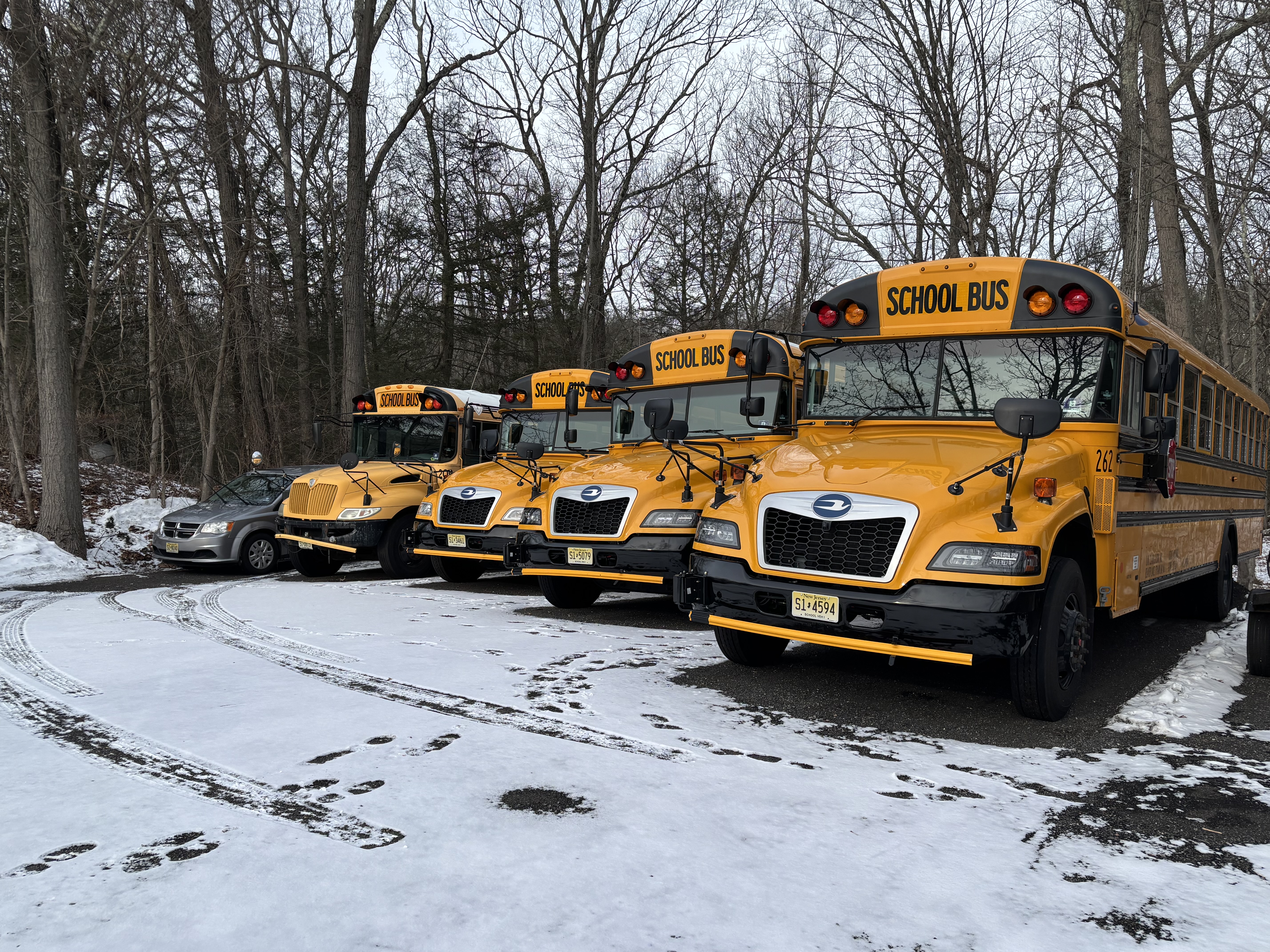 School Bus Fleet